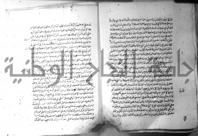 نسيم الرياض 3 