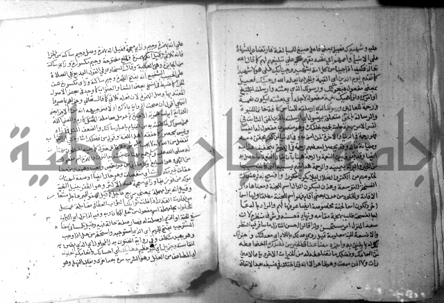 نسيم الرياض 3 