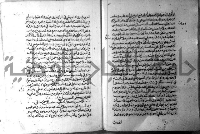 نسيم الرياض 3 