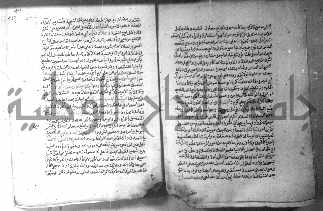 نسيم الرياض 3 