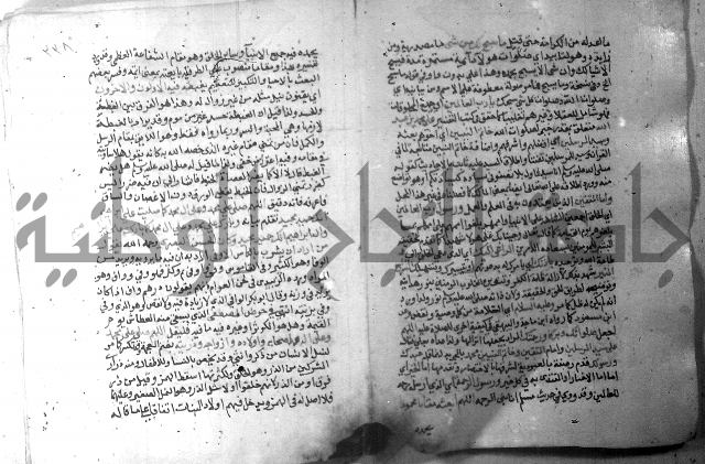 نسيم الرياض 3 