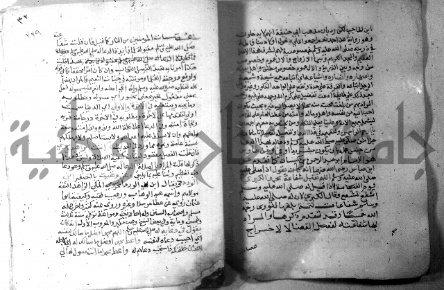 نسيم الرياض 3 