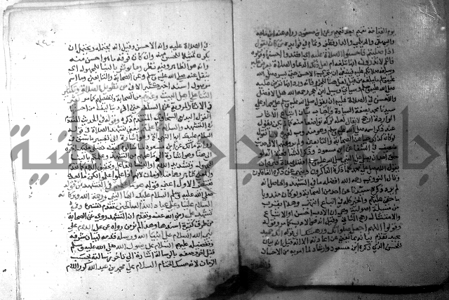 نسيم الرياض 3 