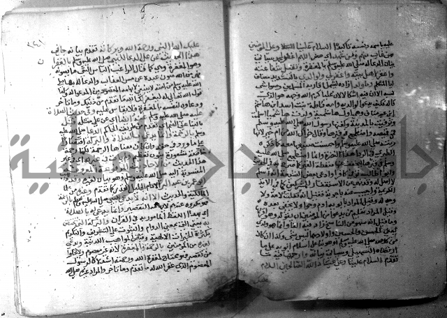 نسيم الرياض 3 