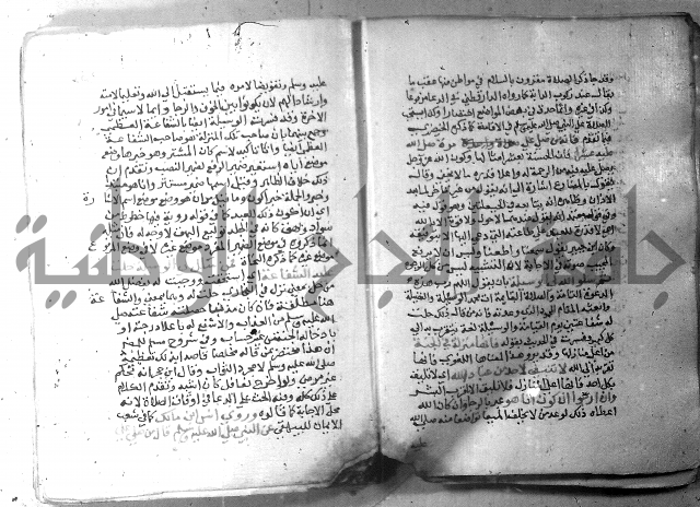 نسيم الرياض 3 