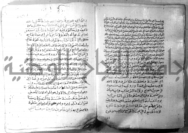 نسيم الرياض 3 