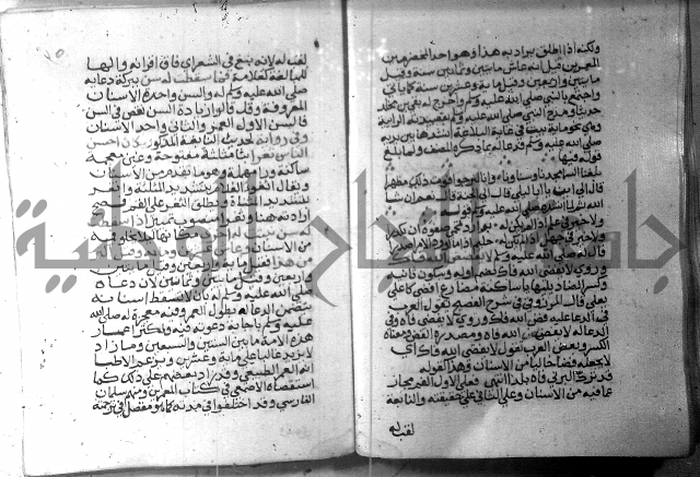 نسيم الرياض 3 