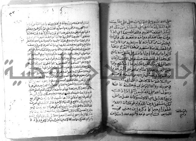 نسيم الرياض 3 