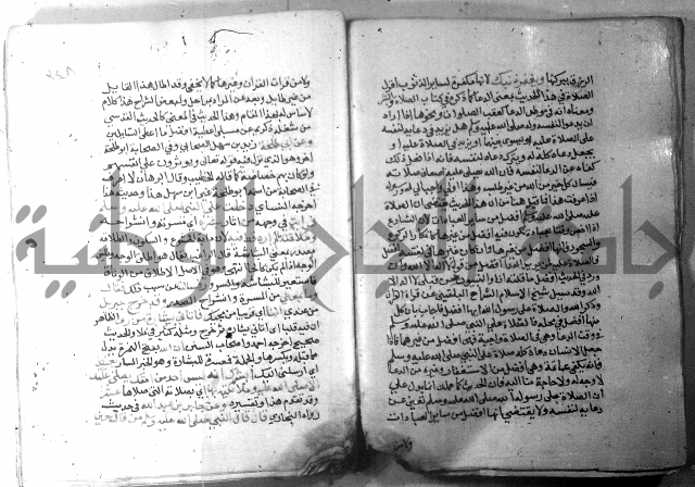 نسيم الرياض 3 