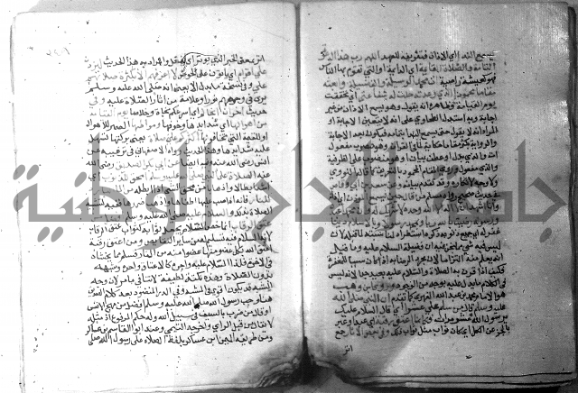 نسيم الرياض 3 