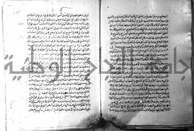 نسيم الرياض 3 