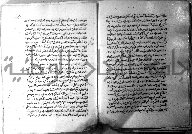 نسيم الرياض 3 