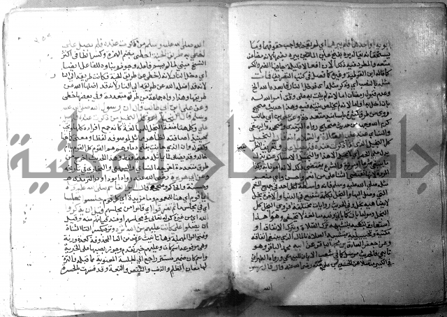 نسيم الرياض 3 