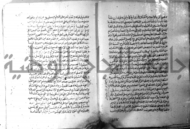 نسيم الرياض 3 