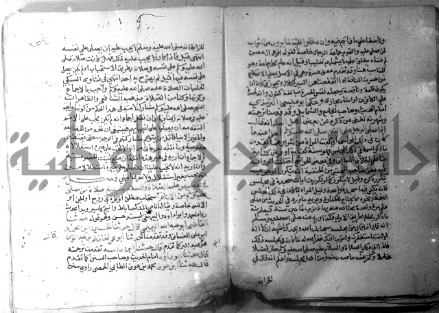 نسيم الرياض 3 