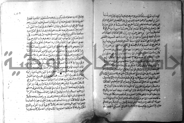 نسيم الرياض 3 