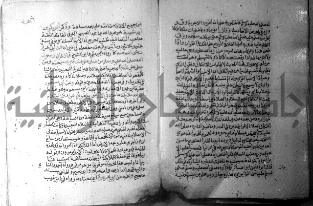 نسيم الرياض 3 