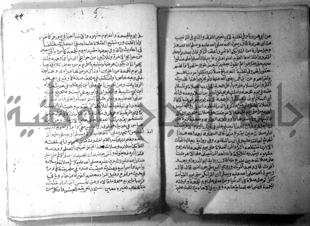 نسيم الرياض 3 