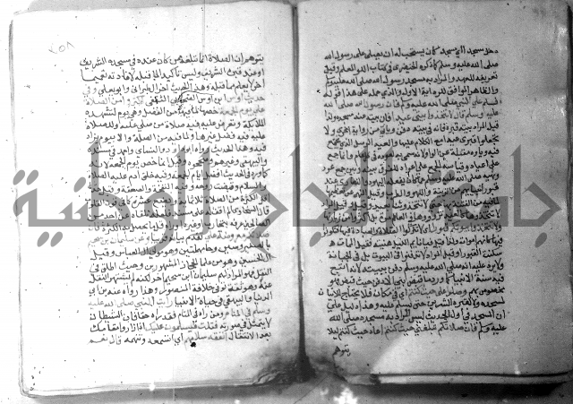 نسيم الرياض 3 