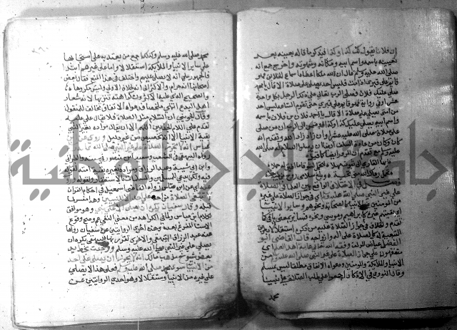 نسيم الرياض 3 