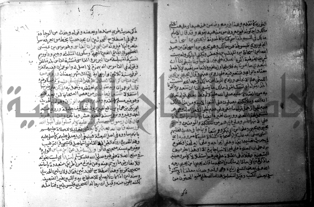 نسيم الرياض 3 