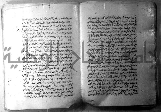 نسيم الرياض 3 