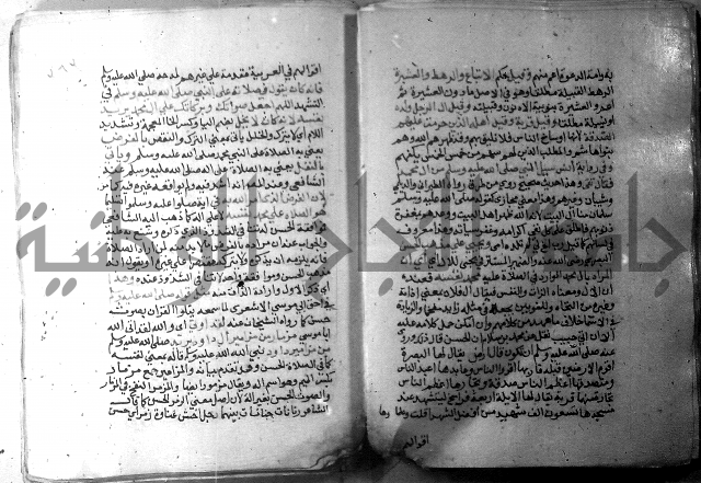 نسيم الرياض 3 