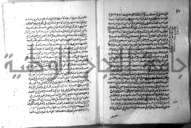 نسيم الرياض 3 