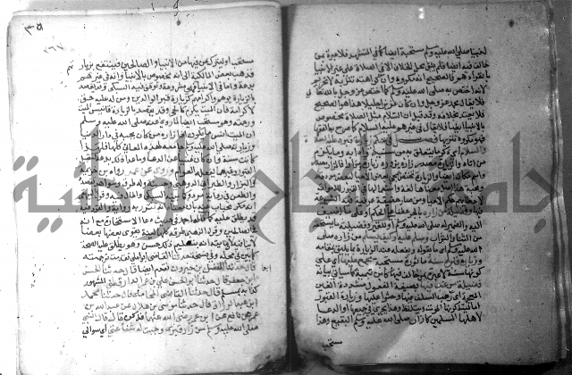 نسيم الرياض 3 