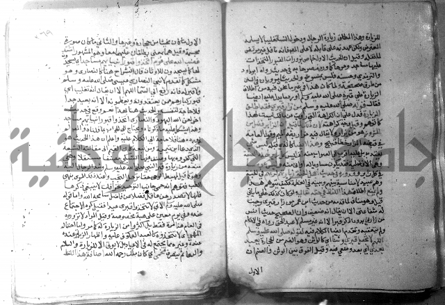 نسيم الرياض 3 