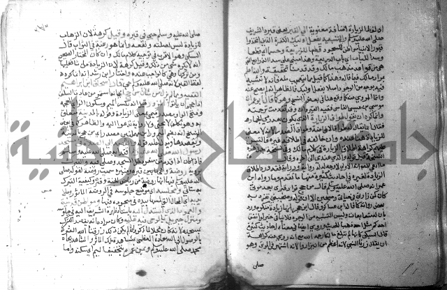 نسيم الرياض 3 