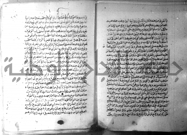 نسيم الرياض 3 