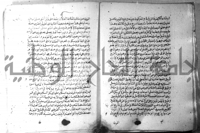 نسيم الرياض 3 