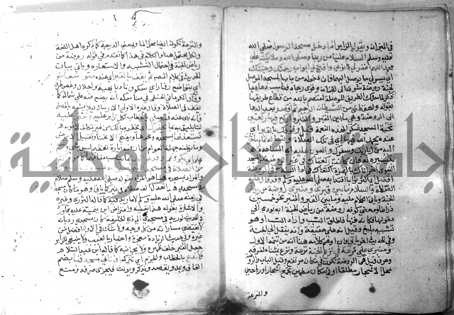 نسيم الرياض 3 