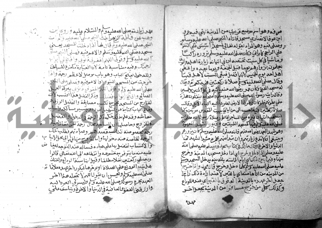 نسيم الرياض 3 