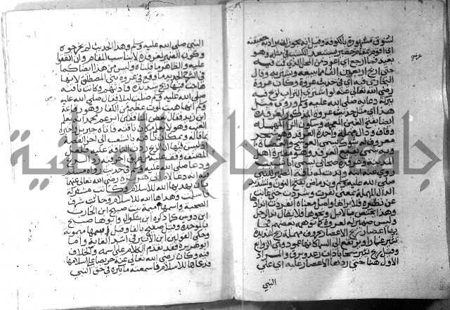 نسيم الرياض 3 