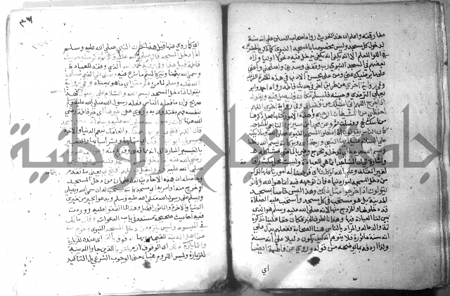 نسيم الرياض 3 