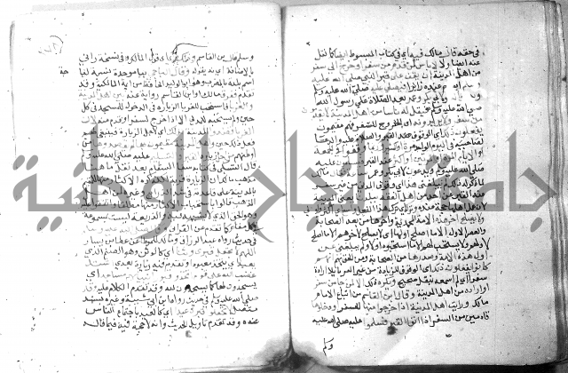 نسيم الرياض 3 