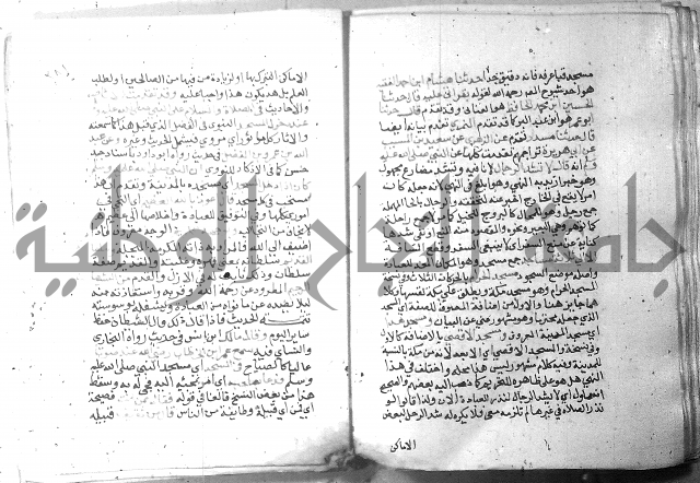 نسيم الرياض 3 