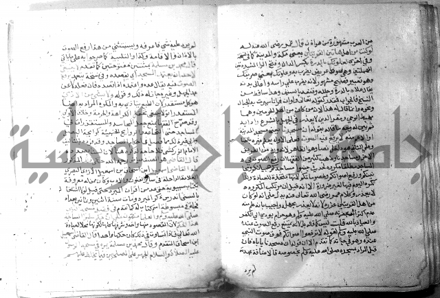 نسيم الرياض 3 