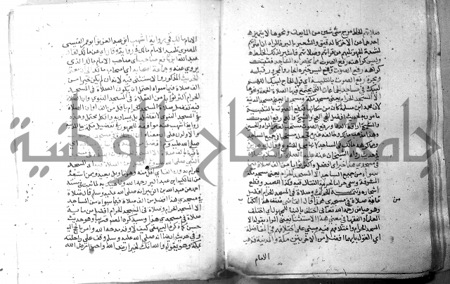 نسيم الرياض 3 