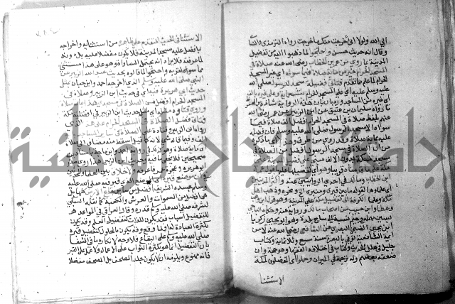 نسيم الرياض 3 