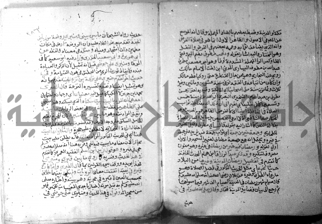 نسيم الرياض 3 