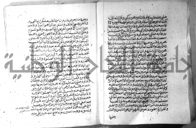 نسيم الرياض 3 