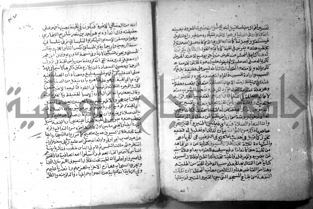 نسيم الرياض 3 