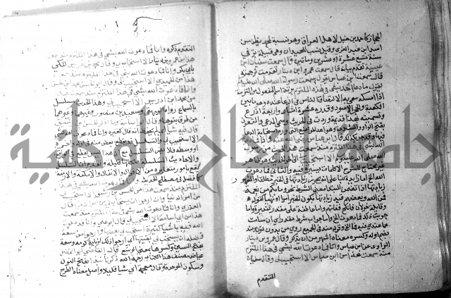 نسيم الرياض 3 