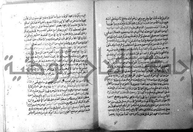 نسيم الرياض 3 