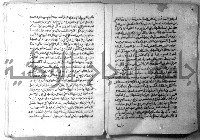 نسيم الرياض 3 