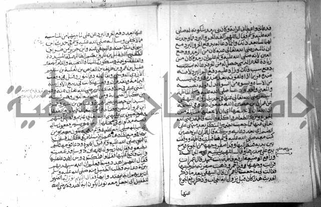 نسيم الرياض 3 