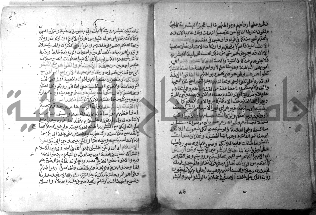 نسيم الرياض 3 